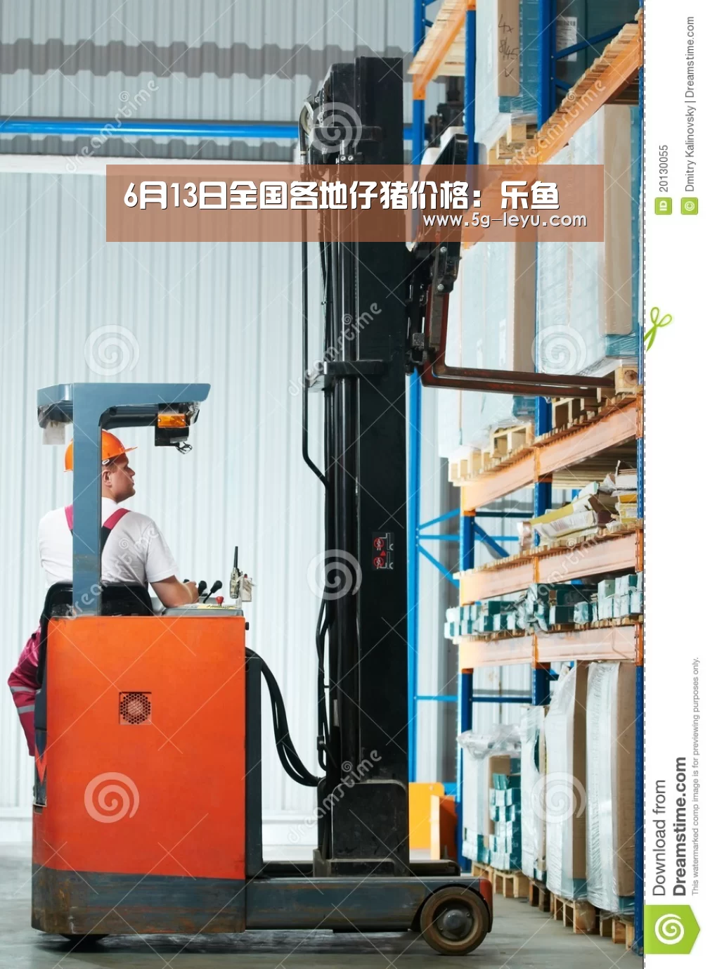 6月13日全国各地仔猪价格:乐鱼(图2) 乐鱼