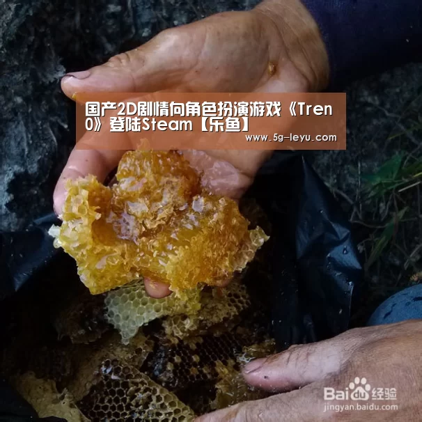 乐鱼体育