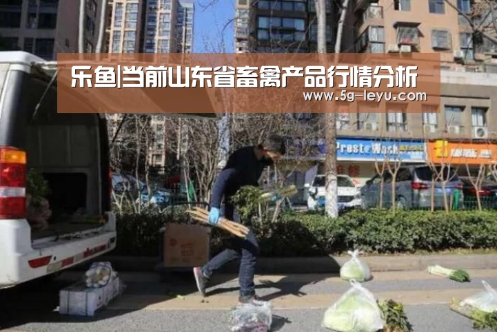 乐鱼