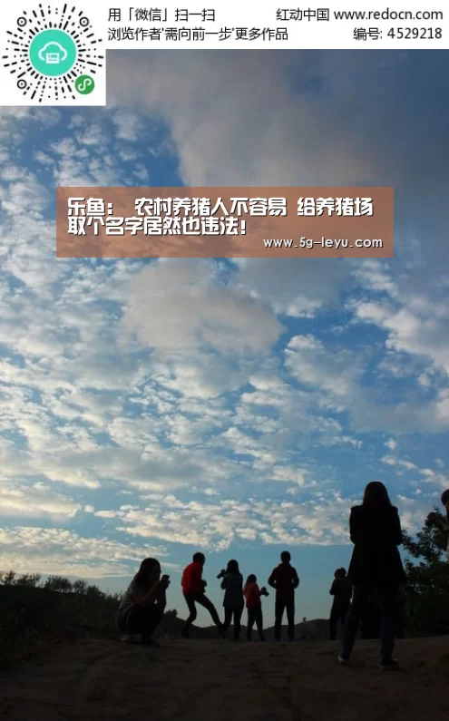 乐鱼